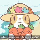 가꿀목장 | 고양이와 스프 말랑타운 리뷰