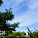 참조은유치원 이미지