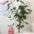 큐사랑 창원삼계점