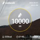 4월초하루 퇴비 밭에 뿌리기 이미지