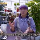 흐르는물 이미지