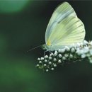 진솔한의원 이미지