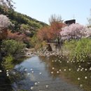 천국은불타고있다 이미지