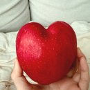 제9회 토요작은음악회 | 문경사과축제 2025 가격·주차·먹거리·맛집·초대가수 라인업 총정리