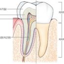 로덴성문치과병원 이미지
