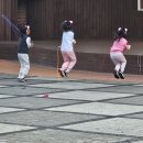 연재