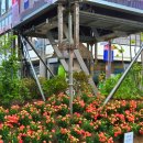 경북약업사 이미지