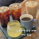 테인566