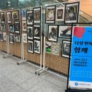 고운고등학교 이미지