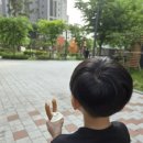 우리동네 푸드트럭 &#34;목요장터&#34;