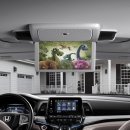 오딧세이 이미지