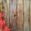 문화예술회관 강의실 이미지