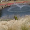 셰프라인 월드 이미지