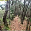 용강4리 이미지