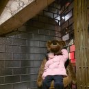 조안베어뮤지엄 | 제주 초등아이와 떠난 겨울여행 조안베어 뮤지엄 다녀왔어요