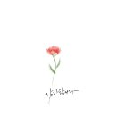 캘리그라피(추가모집) 네이버블로그