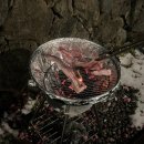 제주베아툼 | 제주 베아툼스파앤풀빌라 나만 알고싶은 제주도 동쪽 독채숙소