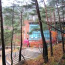 금오카 Daum카페