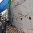 창용초교 이미지