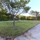 간월도캠핑장 | 홍성캠핑장 캠핑장추천 상황오토캠핑장 다녀온 후기