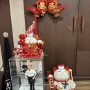 차이나 정향 네이버블로그