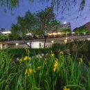 서원동-19 이미지