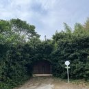 스테이숲숲 | 경주 독채펜션 스테이숲숲 내돈내산 후기ㅣ숲뷰 감성숙소 추천 에어비앤비