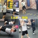 The Apex Predators(T.A.P:티에이피) | T.A.P (The Apex Predators)의 아침 : 티에이피 복싱&amp;레슬링 : 화요일 아침