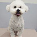 리츠펫 이시아폴리스점 이미지