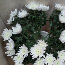 경북산소(주)