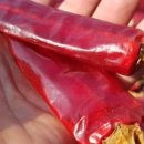 원하농장 이미지