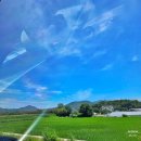 금성빌라 앞 | 1박 2일 담양 여행 더공감펜션 풀빌라부터 맛집과 디저트 카페까지 데이트 코스로 강추