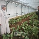 덕동농장 이미지