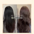 주염색하우스