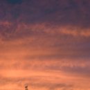 경이의세계 | 잃어버린 경이로움