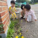 새암어린이집 이미지