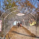 프로방스 포토랜드 이미지