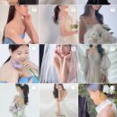 새영헤어