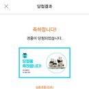푸통