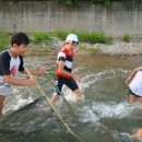 용인대 경일태권도 이미지