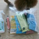 마이펫종합동물병원 이미지