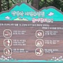 장령산자연휴양림 야영장 이미지