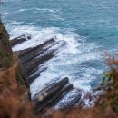 잠실애슬리의원 이미지