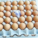 주식회사 농업회사법인 푸른 이미지