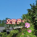 오향골송어 이미지