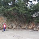 볼음도길 이미지