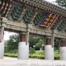 월운 티스토리