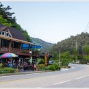진동산채민박 네이버블로그