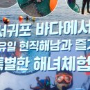 제주해남다이브센터