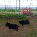 아토농장 이미지